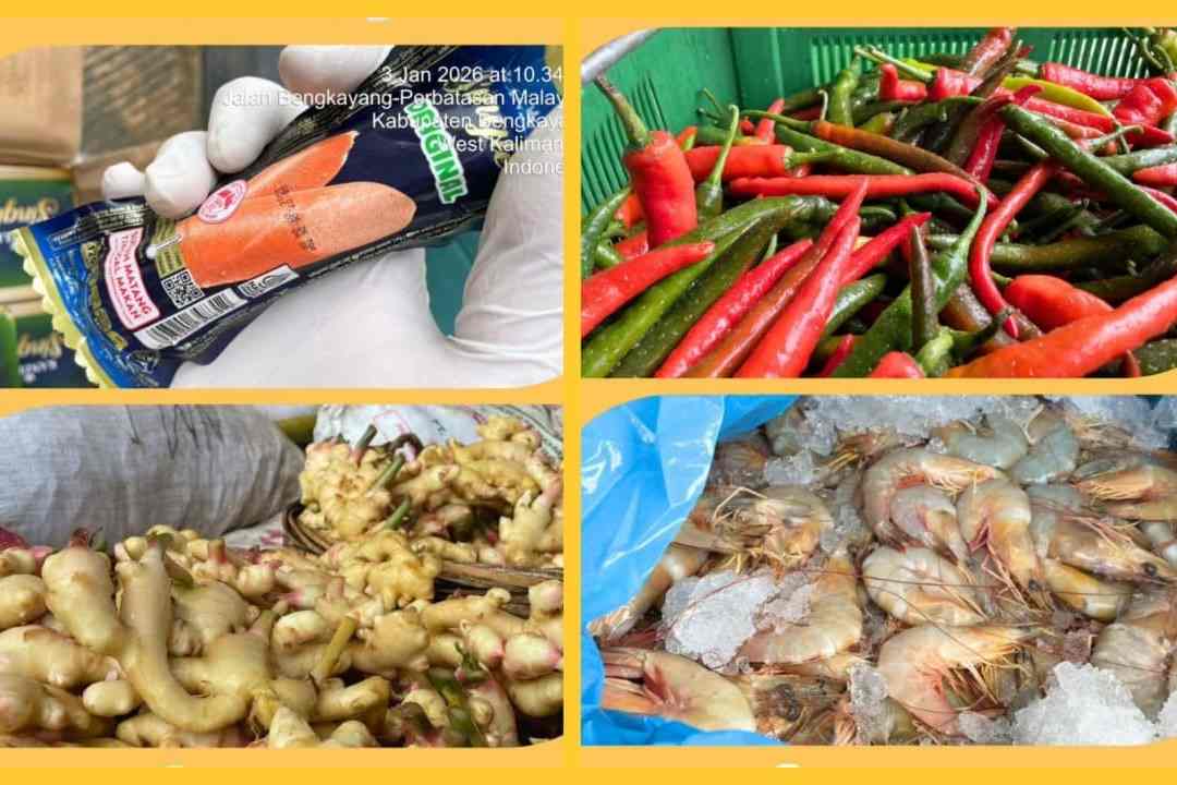 Ekspor Lewat PLBN Jagoi Babang Melejit, Tembus 9,8 Juta Kilogram Sepanjang 2025