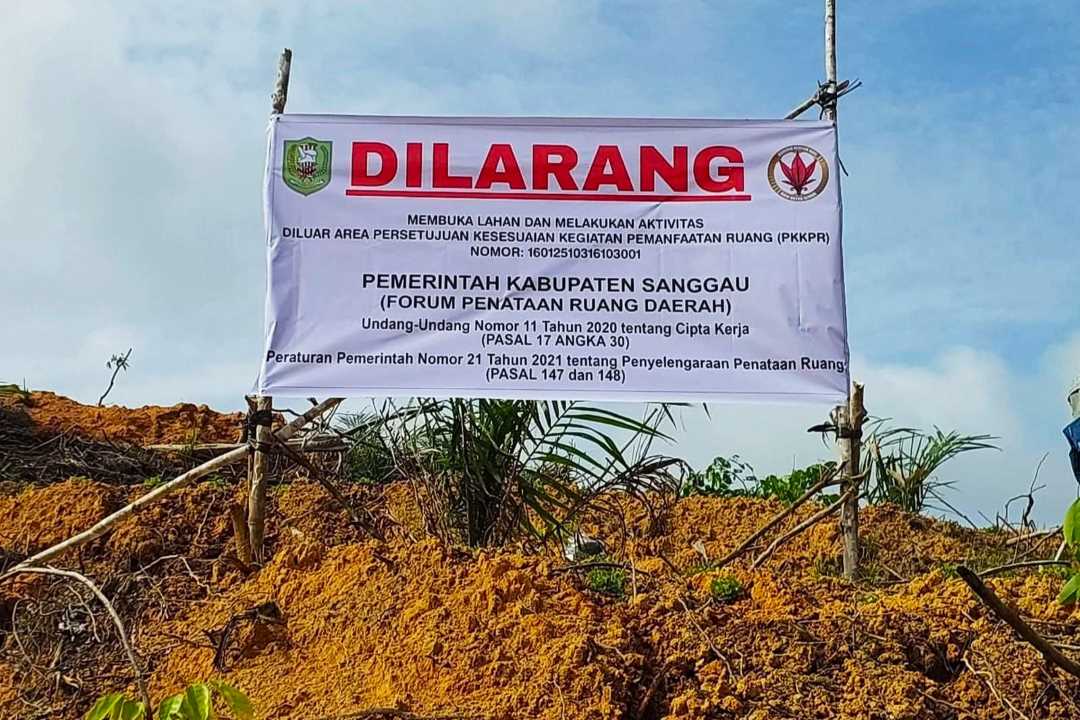 Garap Kawasan Lindung, Perusahaan Sawit di Sei Muntik Disegel Pemerintah: Wajib Cabut dan Reboisasi!