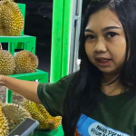 Cara Memilih Durian Bagus dan Daging Tebal Menurut Ahlinya: Cek Bunyi Hingga Bentuk Duri!