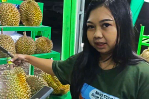 Cara Memilih Durian Bagus dan Daging Tebal Menurut Ahlinya: Cek Bunyi Hingga Bentuk Duri!