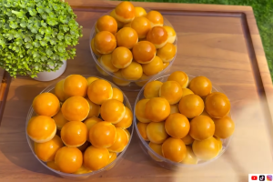 Resep Nastar Sultan Premium: Rahasia Tekstur Lumer dan Aroma Mewah yang Menggoda